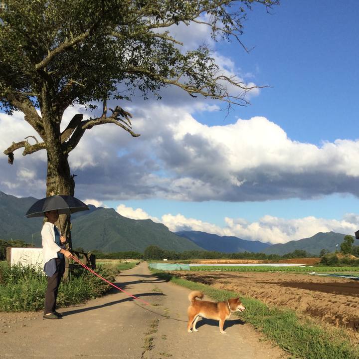 Edde5ff2 e4ec 4c6a a7a5 a89f8e6c229a 1568026254885