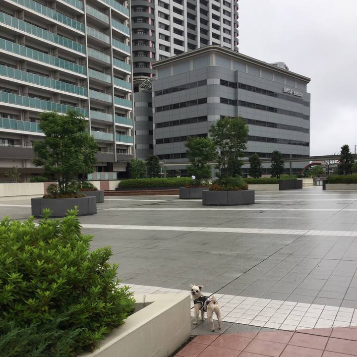 Eddee921 30b4 4753 bbeb 906e309a2d8e 1561885252178