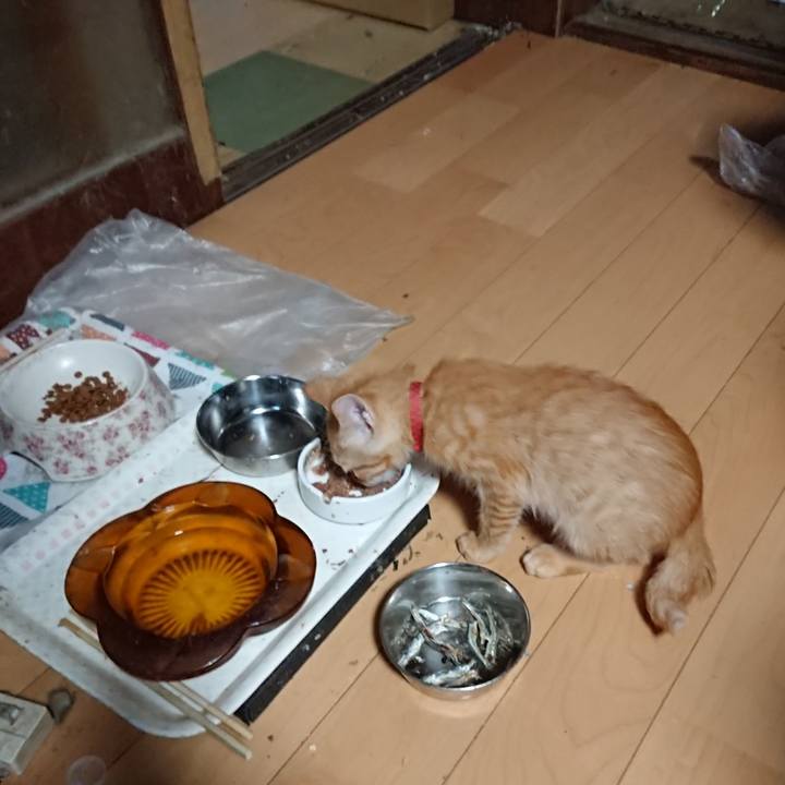 Eddef9c5 8145 43e7 86f0 60f1f6843a4d 1631479264153