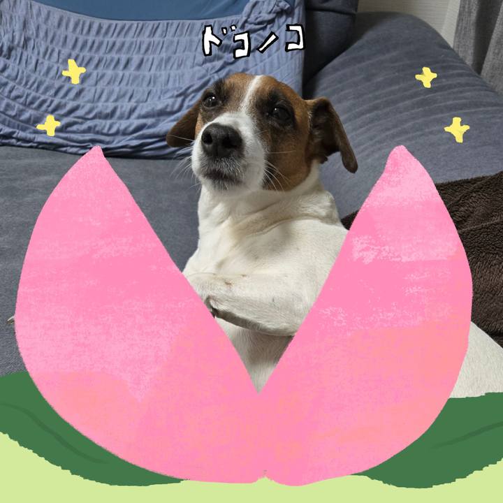 Eddf0ef4 f595 4609 b2b9 b256b9e5037b 1772446635190