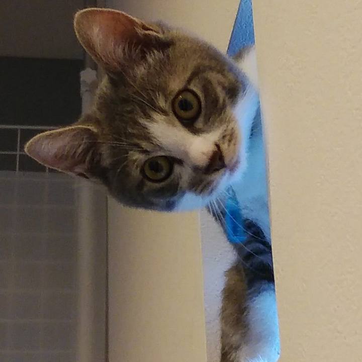 Eddf3af8 d37c 48e3 9739 0491a676a137 1566204200446