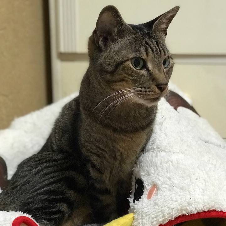 Eddf4d0d 6b54 4841 a087 80089837e290 1509586366793