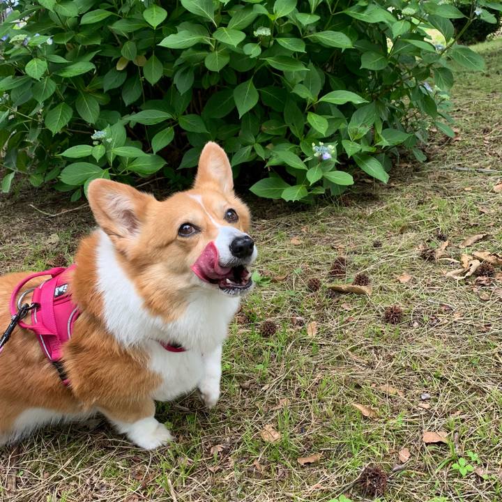 Eddf531a 9577 4c64 a042 1c501b083d82 1654826622027