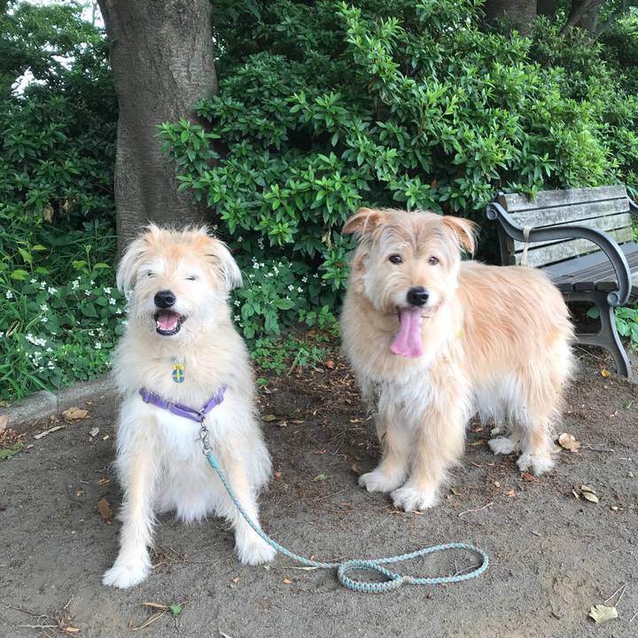 Eddf78c7 bfd5 4f5c 9990 fd06dbf8df8c 1559691751223