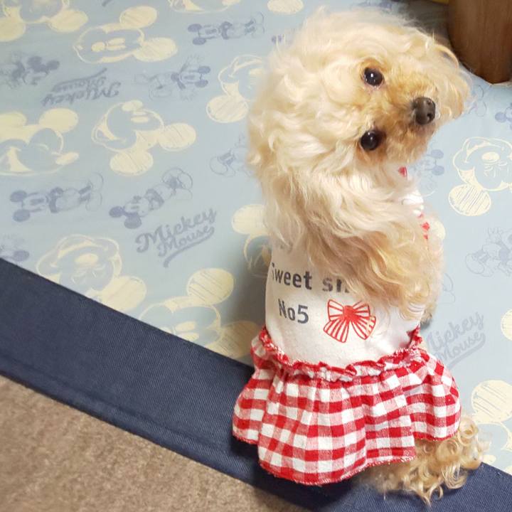 Eddf811e 0c78 45e8 92ac 84036842d4dc 1653996974683