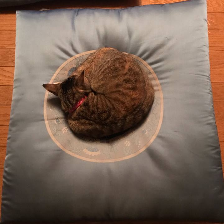 Eddfe3c3 62aa 41b0 9c70 dba882b15a54 1573900987063