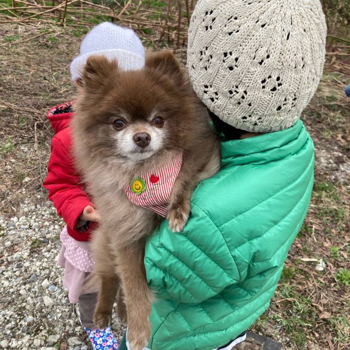 Ede03975 769f 45b3 90ae 1aaf6d261572 1650178020309