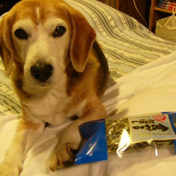 Ede07494 f04c 4998 8080 ec50adc32b7d 1652055226971