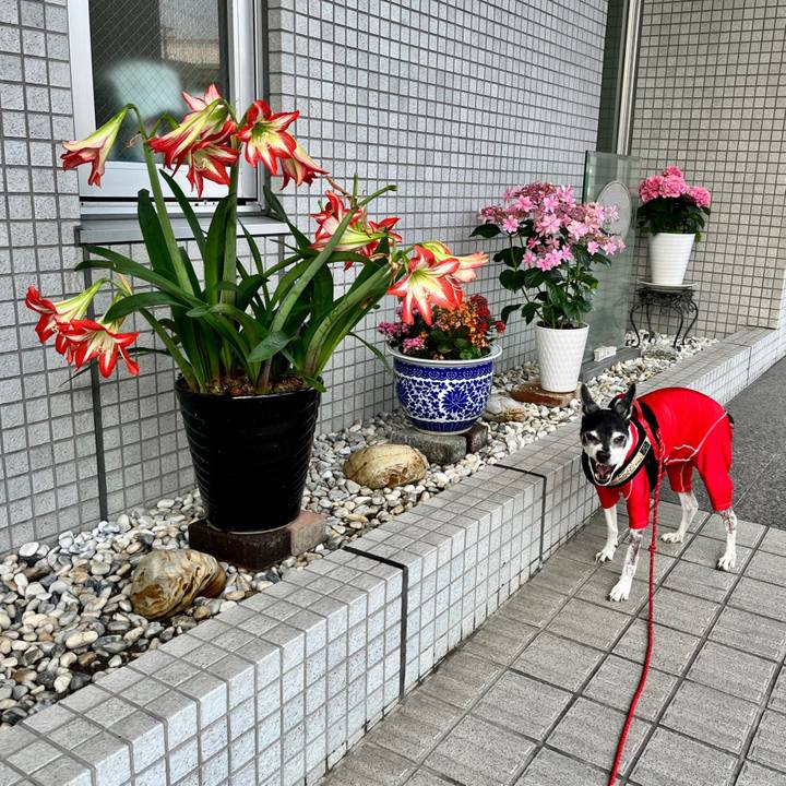 Ede07a60 b19a 4ca6 88c7 990a4c5c018e 1653430154542