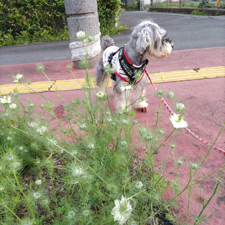 Ede07ec8 09a2 4f3e 8b8f eccb448ef8e3 1715240232464