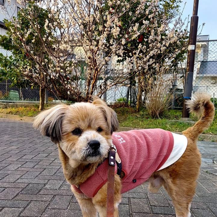 Ede08399 9622 461e 8a78 e4ccfd1d4b00 1677626956791