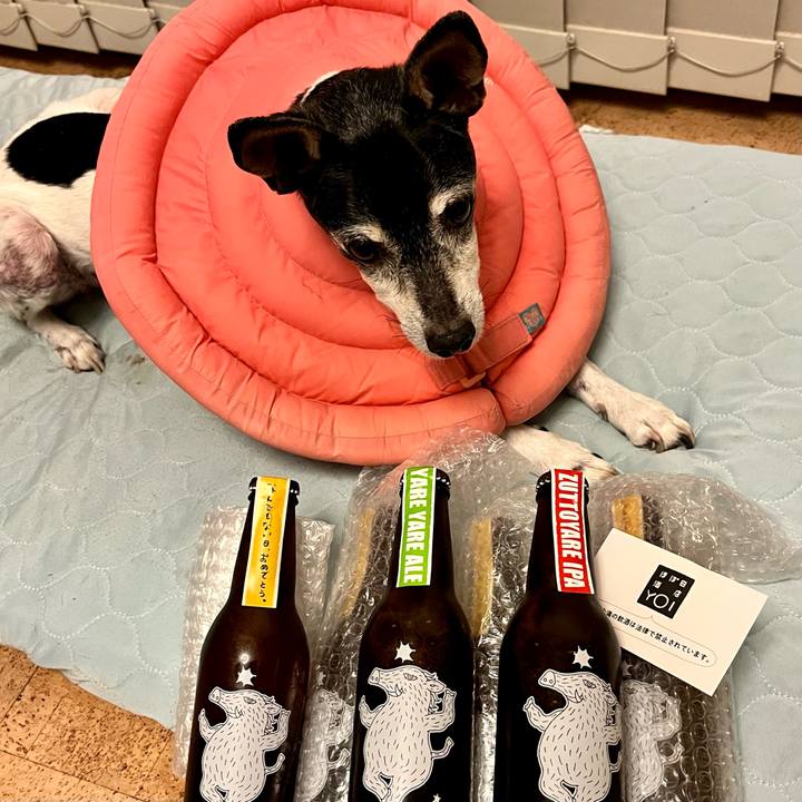 Ede108da 9782 42c4 9375 c19fb91dbc6c 1655293649269