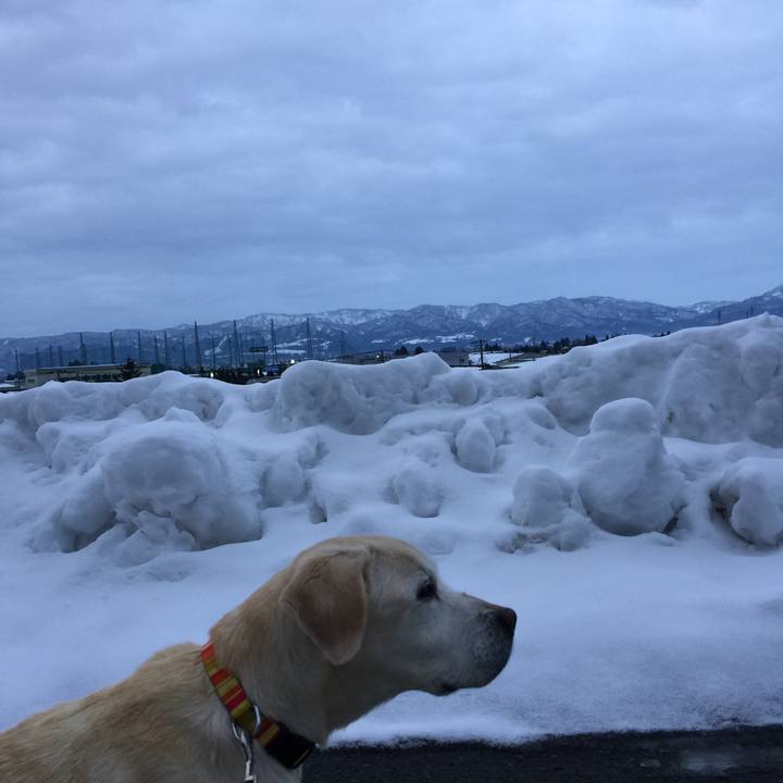 Ede11ef9 0a6c 41d4 b001 f98e6c7c60b9 1515312750060