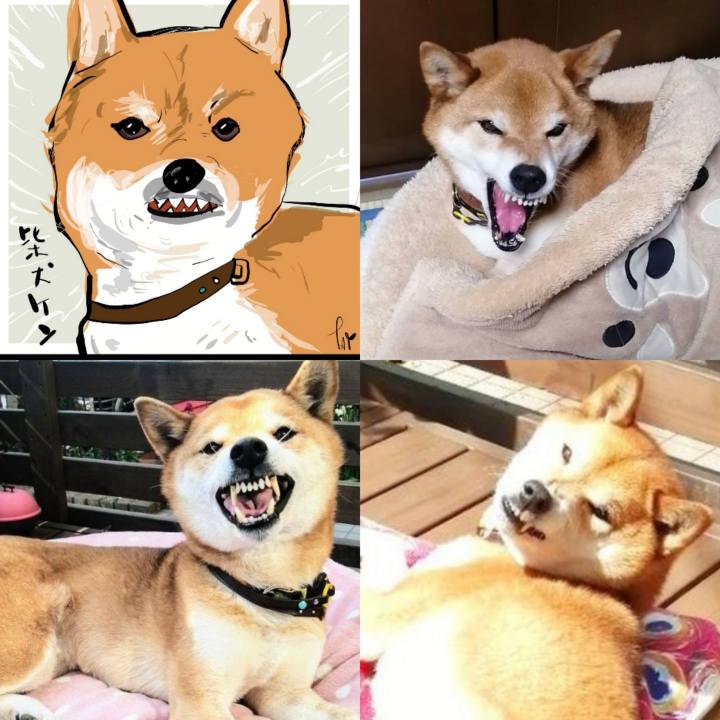 Ede13ea1 2964 462d a028 67bafc87b4ec 1665993396529