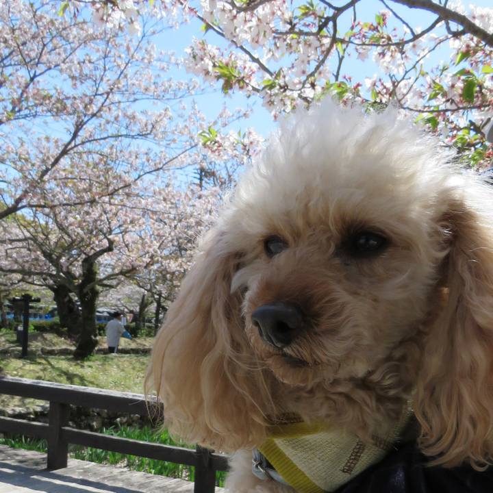 Ede14b9e 3d43 4b19 baf4 b450d7ba1430 1649155482137