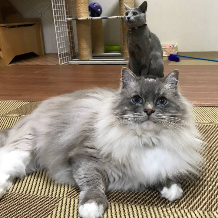 Ede1a803 80c1 4fb5 9423 4db6aa7009fd 1520978922868