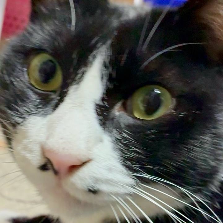 Ede1d451 711b 45fb b412 25020b56226b 1767001918921