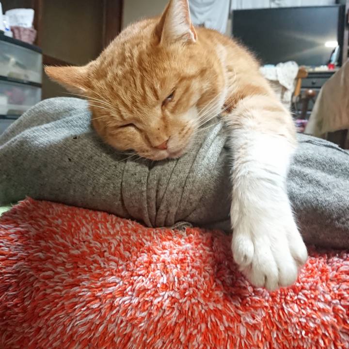 Ede1e7a0 4394 4c2f 818f 47c6c3755df6 1579640013311