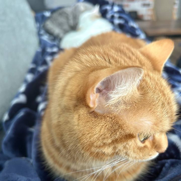 Ede1f859 b951 4e18 88aa e829d70198a0 1712378762267