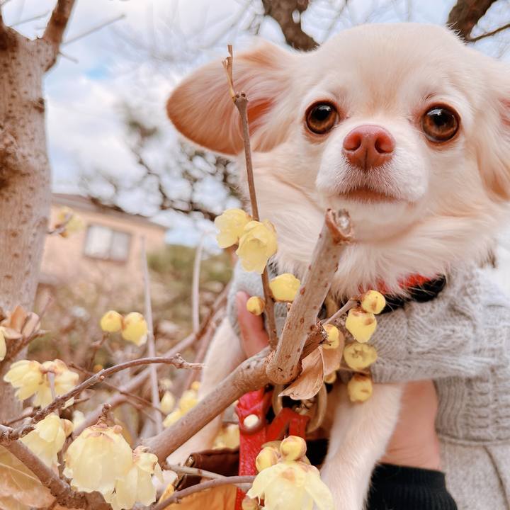 Ede1f87b a8e0 4144 ba64 3707a88e5b05 1674122354750