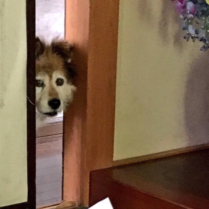 Ede2172d 2826 4d85 a5e3 686fd8e9a240 1590221403698