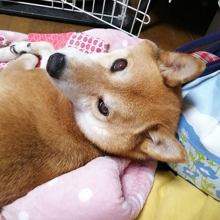 Ede22c0d b112 4d29 b9e5 a0042d1bbbe2 1657359833412