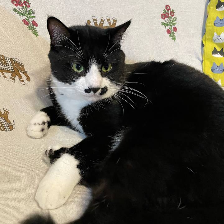 Ede238d0 612a 45ed 94ee b5b9614b1f6d 1666692414313