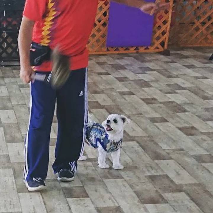 Ede24a18 3679 41fc 90d5 ec6411e35789 1662035782284