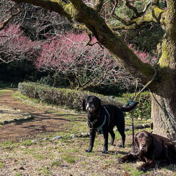 Ede26d66 da47 4275 886c 41bafca356c2 1772966684060