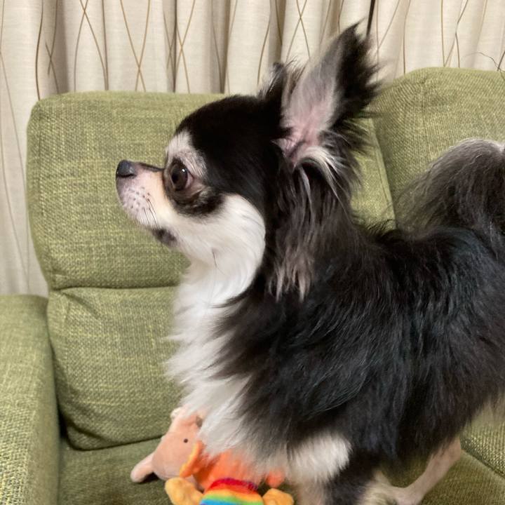 Ede270ec 1150 414a b6db 35c8c70b3b9a 1661696859299