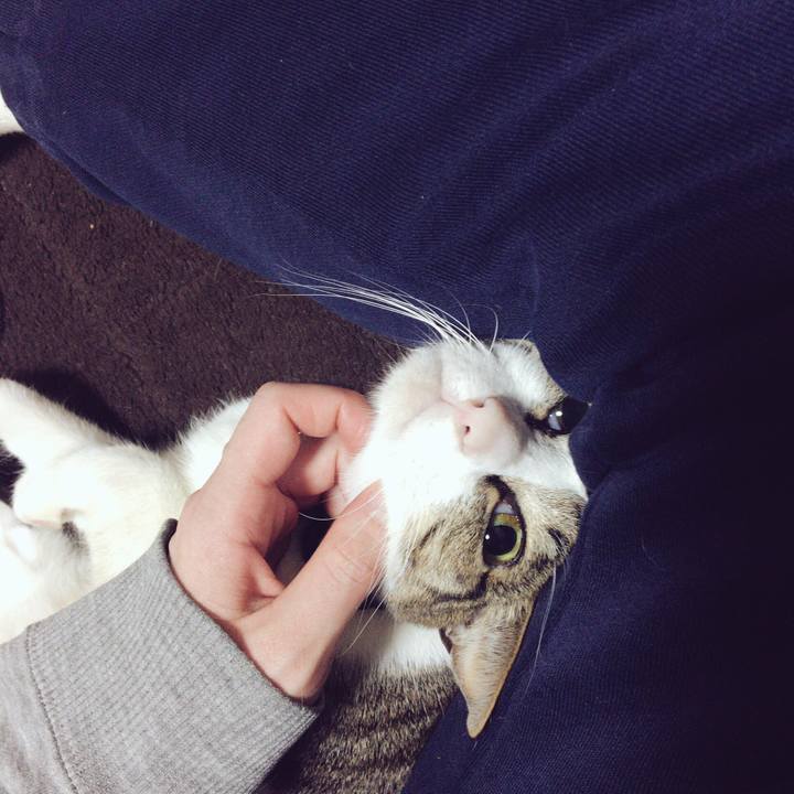 Ede2c1ac 4e88 4d7f b78f bd906798fe0d 1513933667383