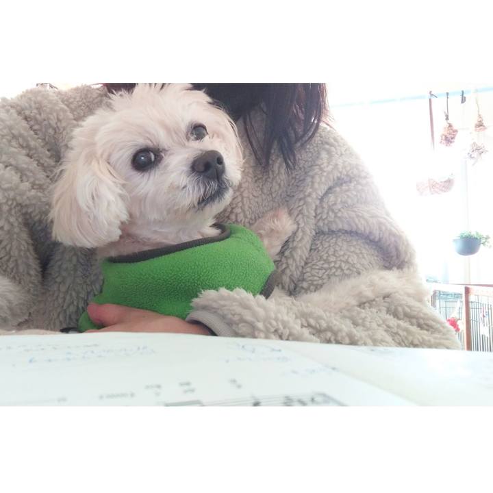 Ede309de 4904 41c1 8ba2 931a9c14be05 1671343468727