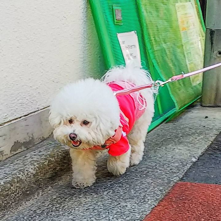 Ede33389 2359 4f5d 9061 2dd76250461a 1553424191641