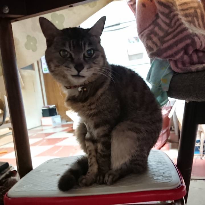 Ede334db 2de8 4b8f ba64 51ed0bedd1c0 1590091808820