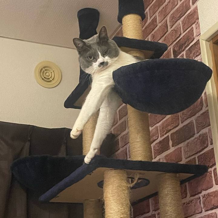 Ede334e4 b3d0 433f 89b2 c4625c3116f6 1704895692753