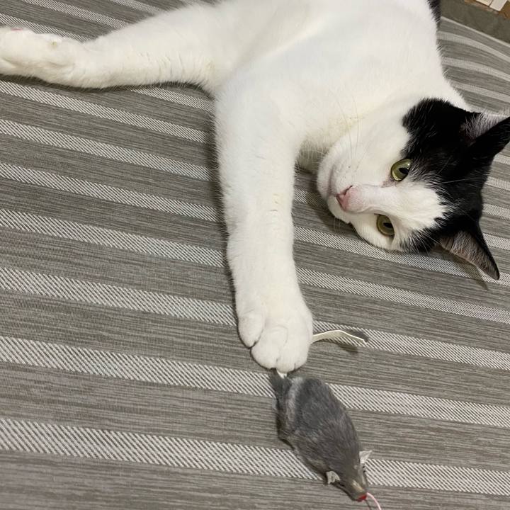 Ede340e8 22f4 4587 b55b 9f7061b1b31c 1656082845453