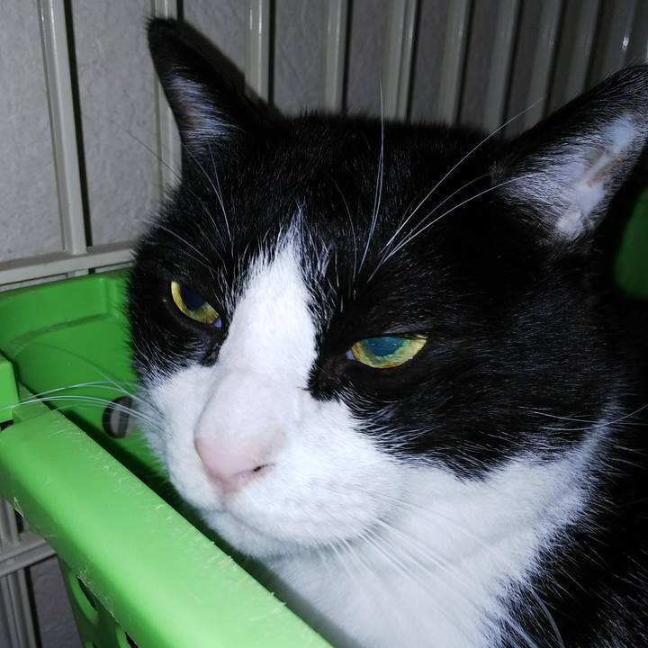 Ede366ba 1775 4693 9b24 286acfc87197 1543528506856