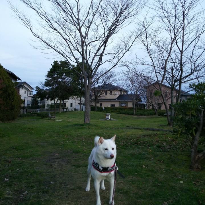 Ede3685f 7d10 40d4 bf4b 2950669011fb 1544948883949