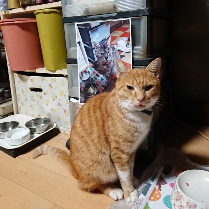 Ede3928a 8f89 4ca3 8eeb e7db9379b8ec 1601153523952