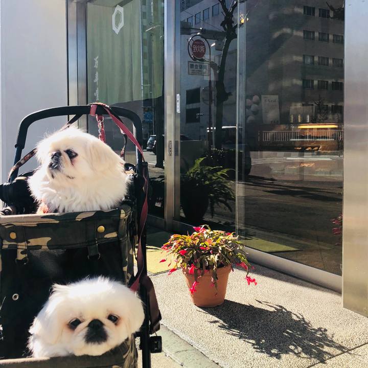 Ede3a4cc ea56 47f9 b629 4bd3e6bcbb99 1577499840993