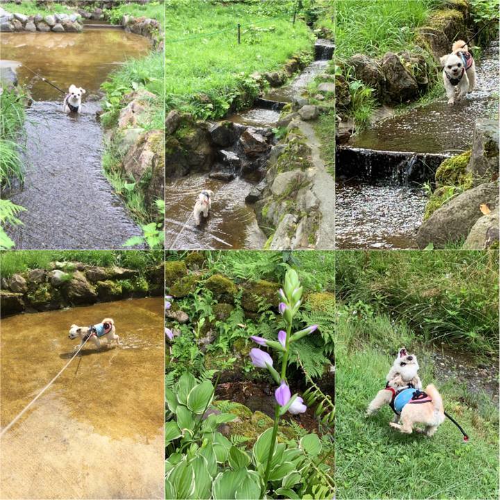 Ede3fbb2 dbda 4509 a0ee 17bc50d2e868 1566990626065