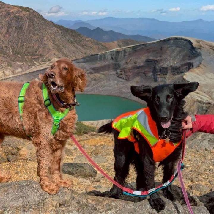 Ede3fd42 5838 4050 9df5 81f652e18035 1762068359065