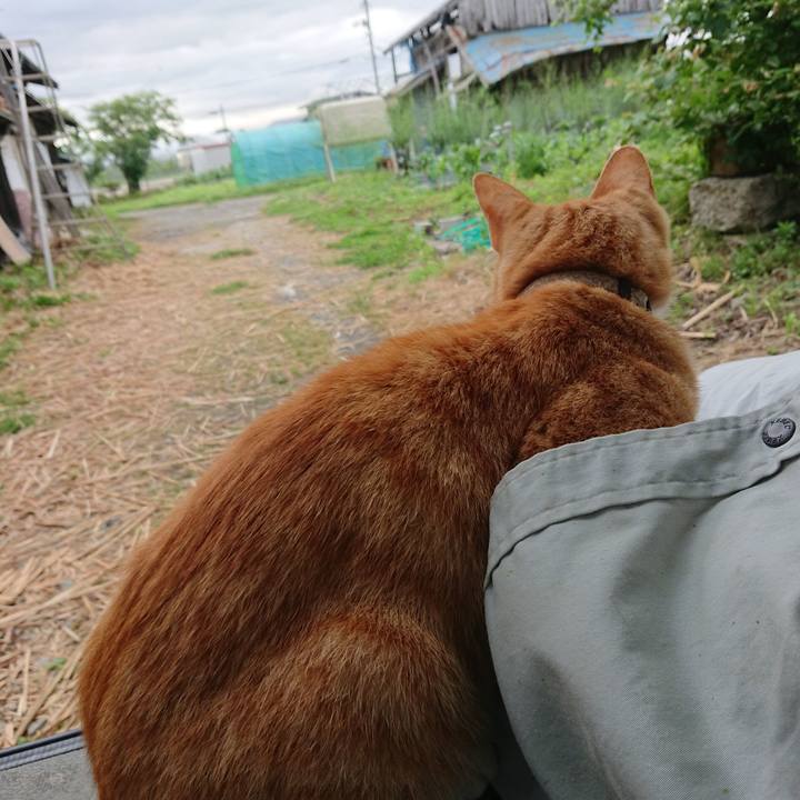 Ede43f83 73fb 45b3 ae7a e6a67ca14468 1593375880617