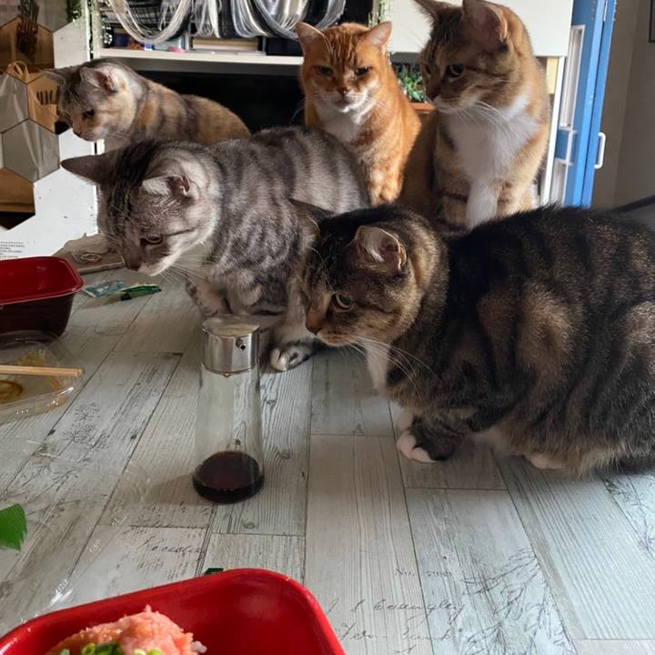 Ede4514c bde7 4ac3 9e73 6dd43feacf97 1606910693679