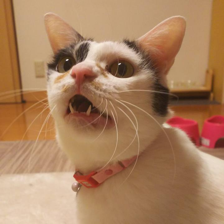 Ede45c73 ad01 4c15 aa24 7463733ce77c 1518959020162