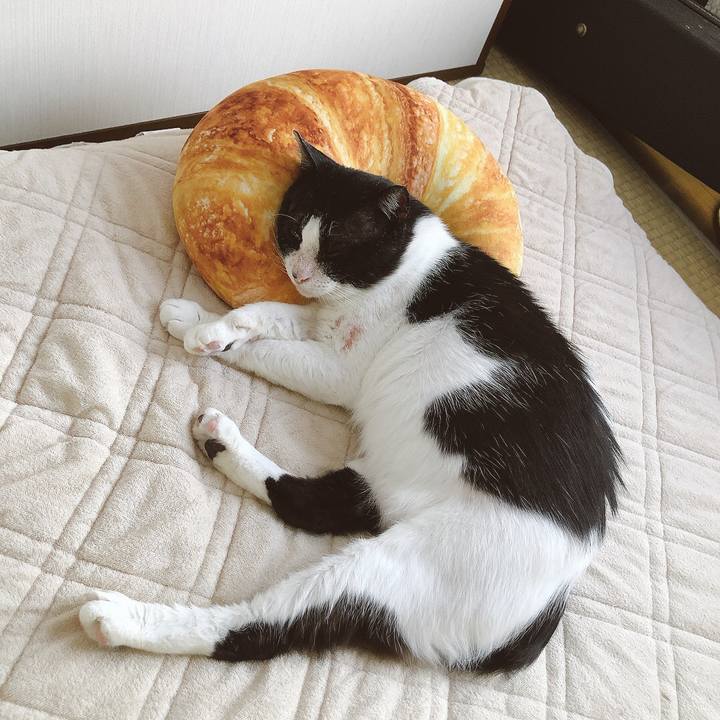 Ede46f6d 088d 43a7 aaaf 11d2f6ad987e 1627613606599