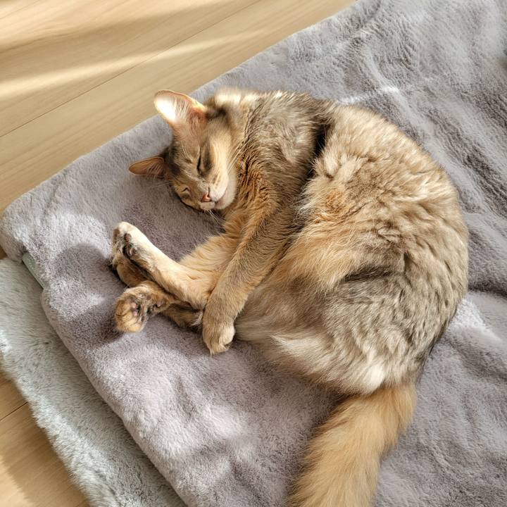 Ede47d52 3bff 407c aff6 ac002060e74d 1639097283008