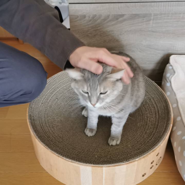 Ede517ce 97e7 4e92 96f2 74f6f71c9dc1 1670818854592