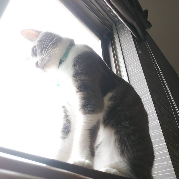 Ede52f71 ce23 4efa 8ba7 cc3e1981d67c 1593471310463