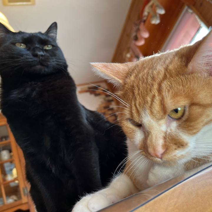 Ede531a4 b1ab 4aaf 8aa9 126a357d2aea 1681508909638